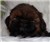 Kitty15.jpg